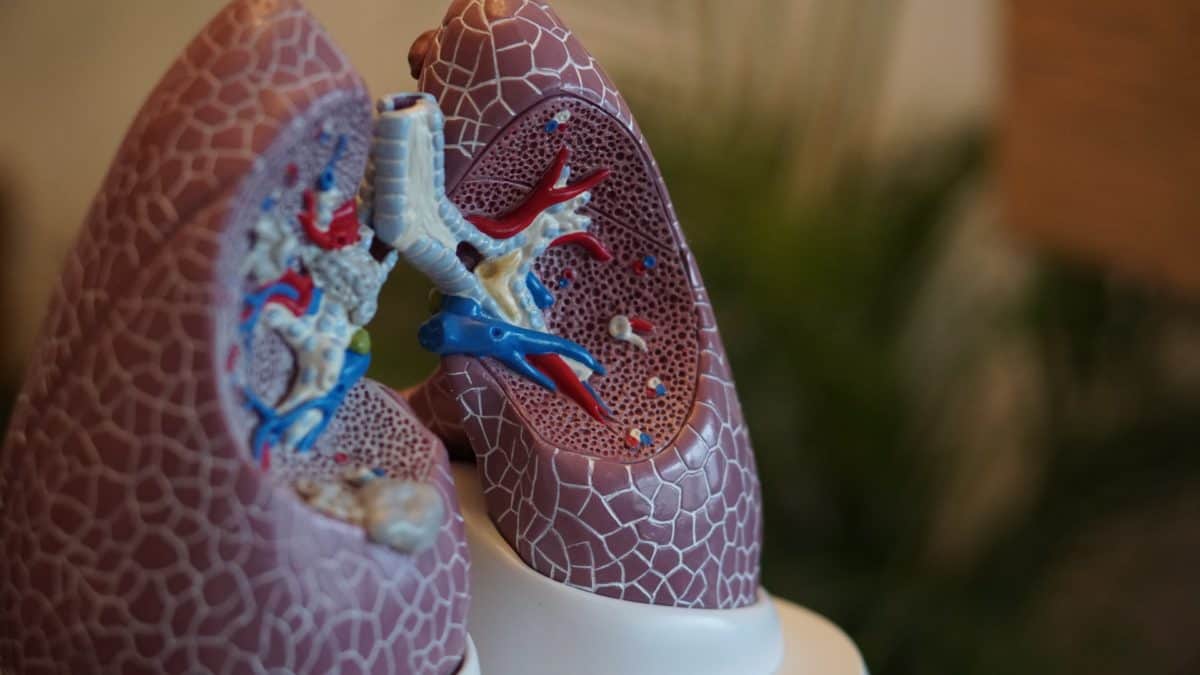 Czym grozi pylica płuc?