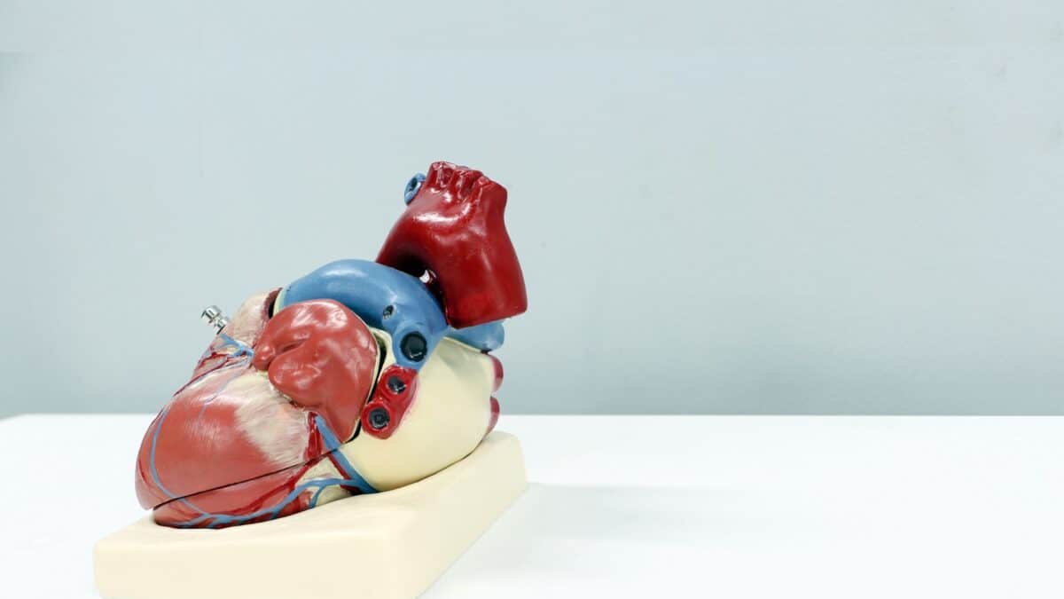 Profilaktyka Kardiologiczna + walka dla serca – program nie tylko dla sercowców